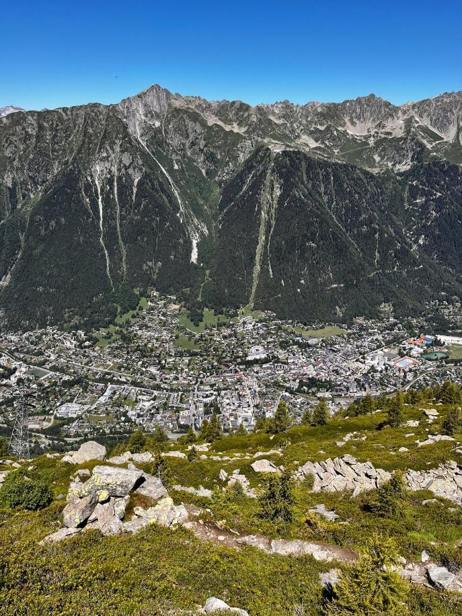 Le Nid De L'Aiguille - Au Pied De L'Aiguille Du Midi Διαμέρισμα Σαμονί Εξωτερικό φωτογραφία